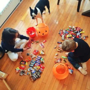 kids sorting candy