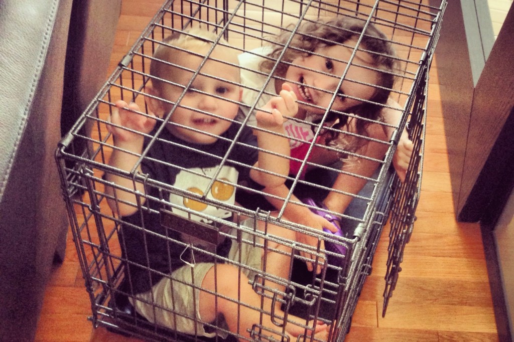 Ava and Charlie in dog cage