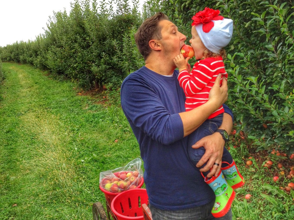 Daddy and Ava picking apples in autumn