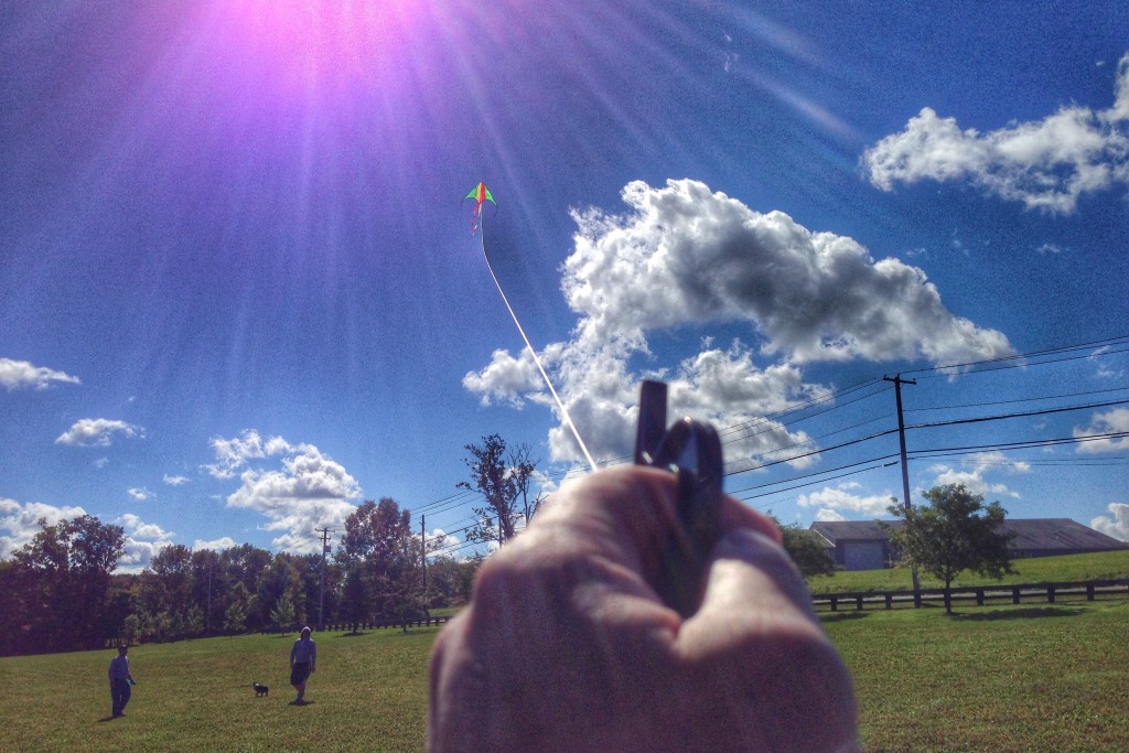 Flying a kite at molasses park