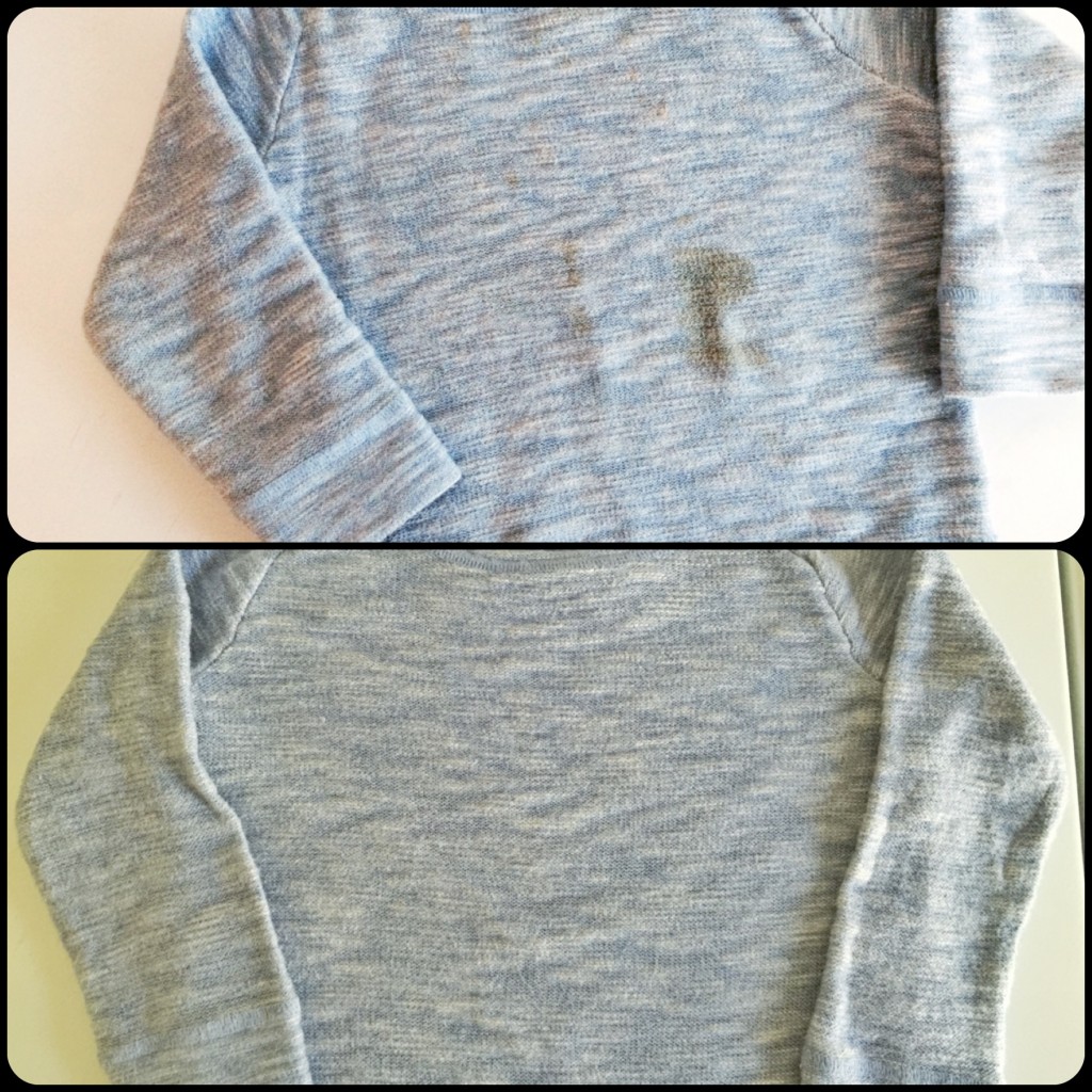 Gap Sweater SHOUT treated