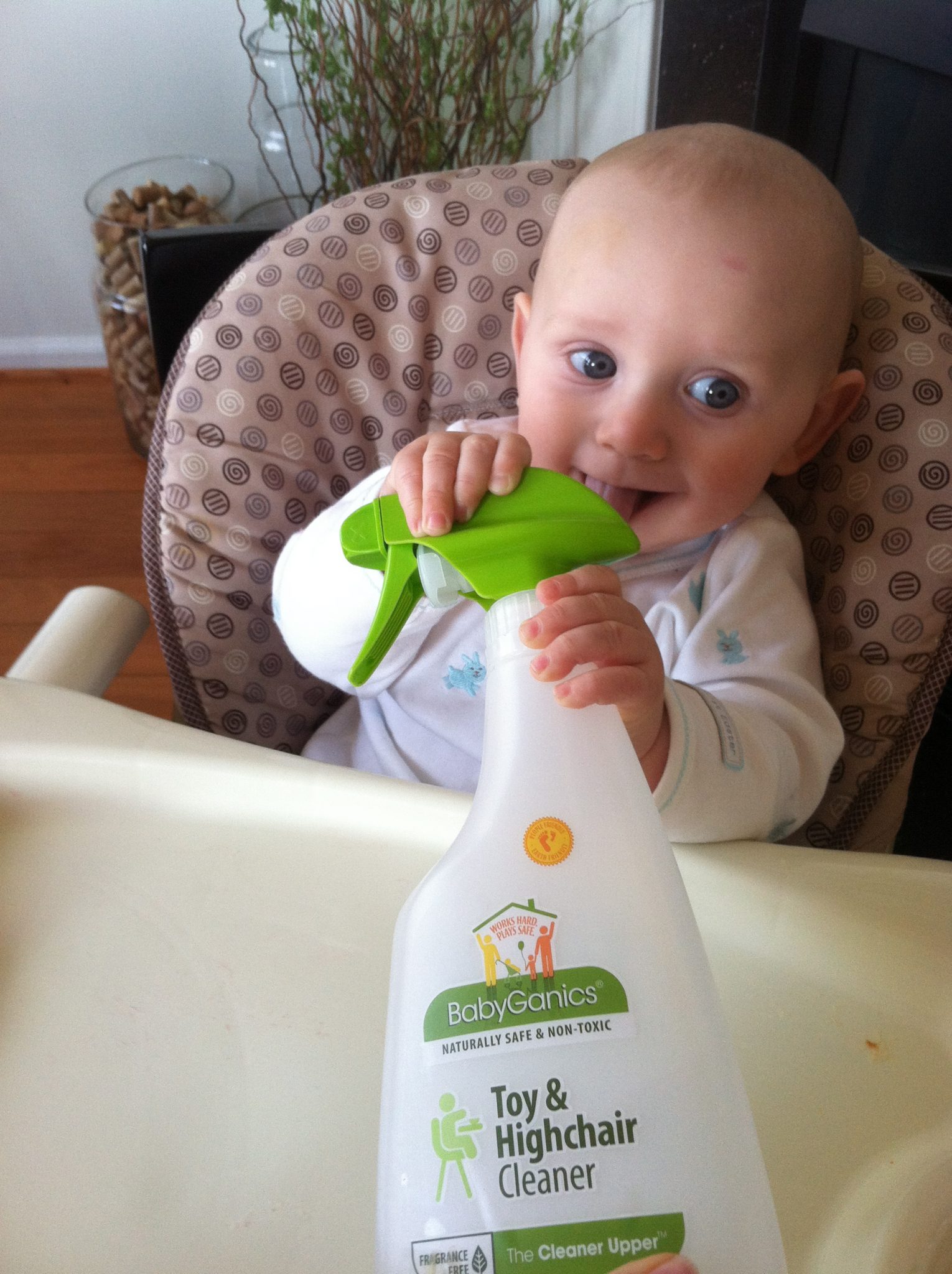 FOR WHAT IT'S WORTH 1 BabyGanics Toy & HighChair Cleaner Dad or Alive