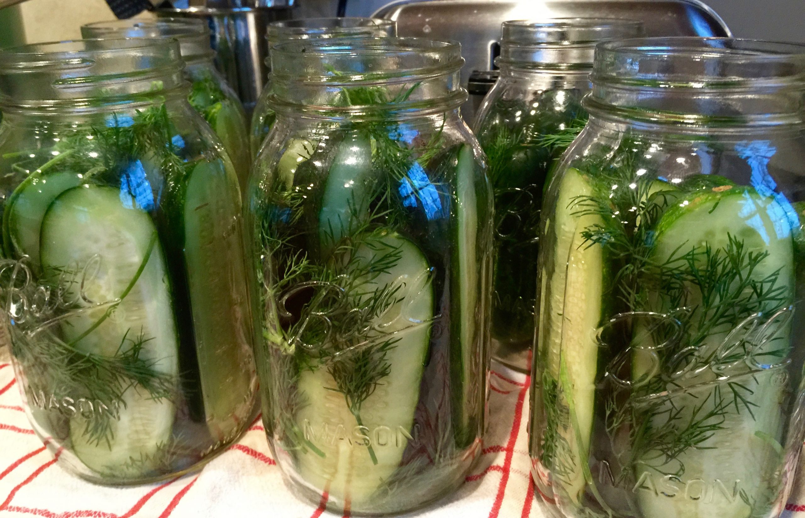 Don't be Lazy, Make your own Homemade Dill Pickles Dad or Alive